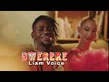 Bwerere - Liam Voice (Official R Video) Latest Ugandan New Music 2023