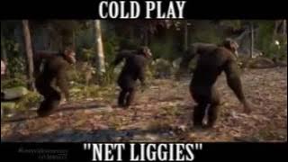 Baboons dancing to net liggies
