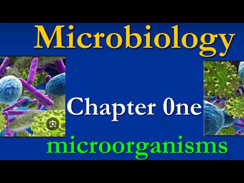 شرح مادة ميكروبيولوجي اولي تمريض شرح الدرس الاول ميكروبيولوجى اولى تمريض معهد فنى صحى كل الشعب