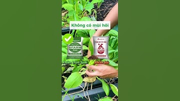 Nên mua phân bò hay phân trùn quế?