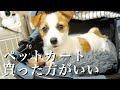 【神商品】ペットカート、バギーガチで便利すぎん？/ジャックラッセルテリア/