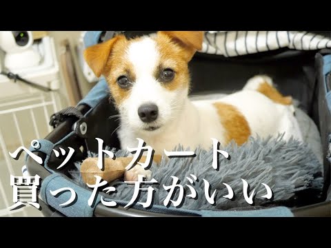 【神商品】ペットカート、バギーガチで便利すぎん？/ジャックラッセルテリア/