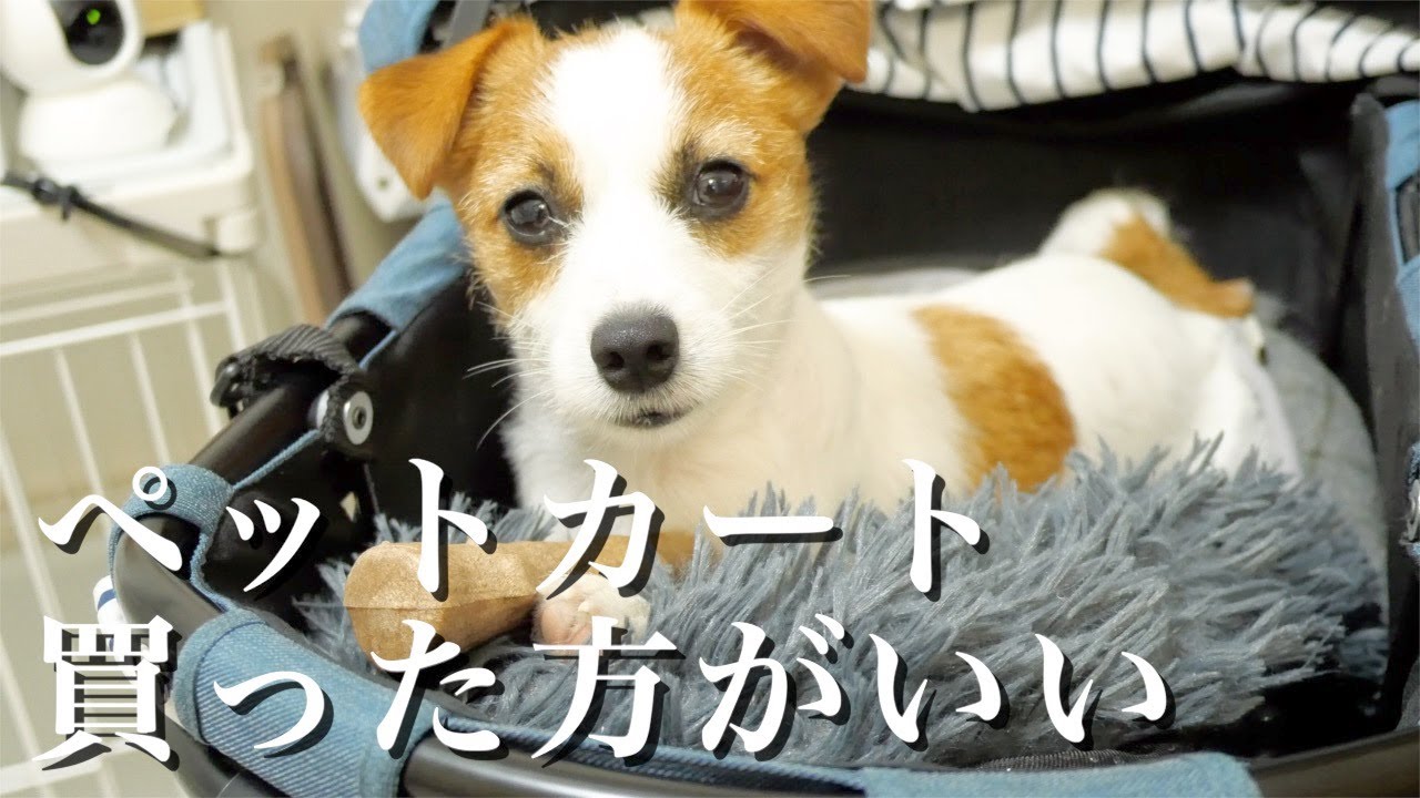 Mr.Jack ペットカート　手渡し可能 Mr.Jack ペットカート 手渡し可能 【公式通販】
