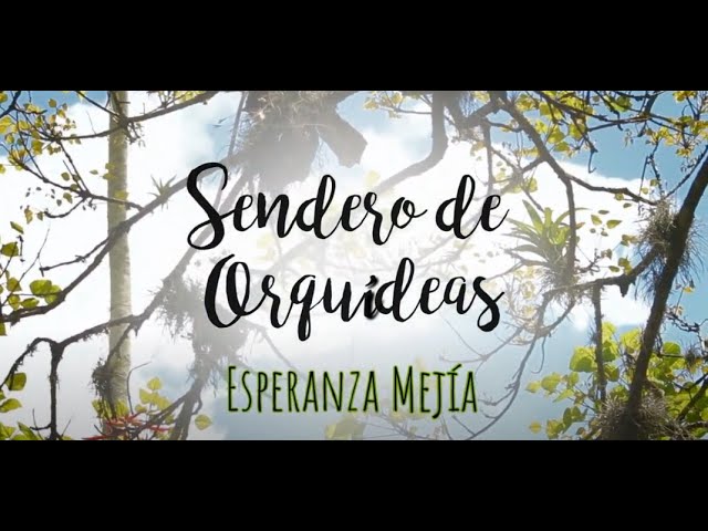 SENDERO DE ORQUÍDEAS ESPERANZA MEJÍA , Armenia Quindío.