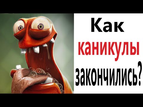 Приколы! КОГДА ЗАКОНЧИЛИСЬ КАНИКУЛЫ! Смешные видео от Доми шоу! Мемы анимация