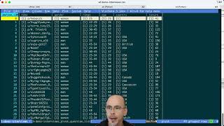 Visidata demo: Pivot tables