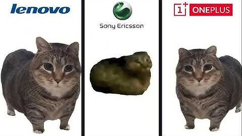OIIAOIIA CAT but Famous Phone Ringtones Part 2