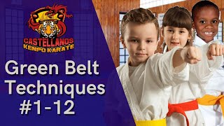 American Kenpo Karate Green Belt Techniques #1-12