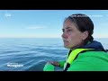 Buckelwal: Konvoi in der Nordsee - Wann wird er freigelassen? Stand: 01.05.2026 21:31 Uhr