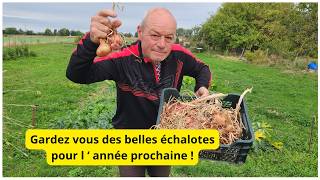 11 Septembre Au Jardin De Philippe Conserver Vos Belles Échalotes