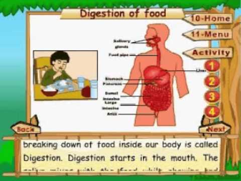 Learn Science |Class 4 | The Human Body | Digestion of Food | Pioneers