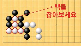 바둑 맥점 사활 - 이창호 9단도 실수 했던 문제입니다. 백을 잡아보세요