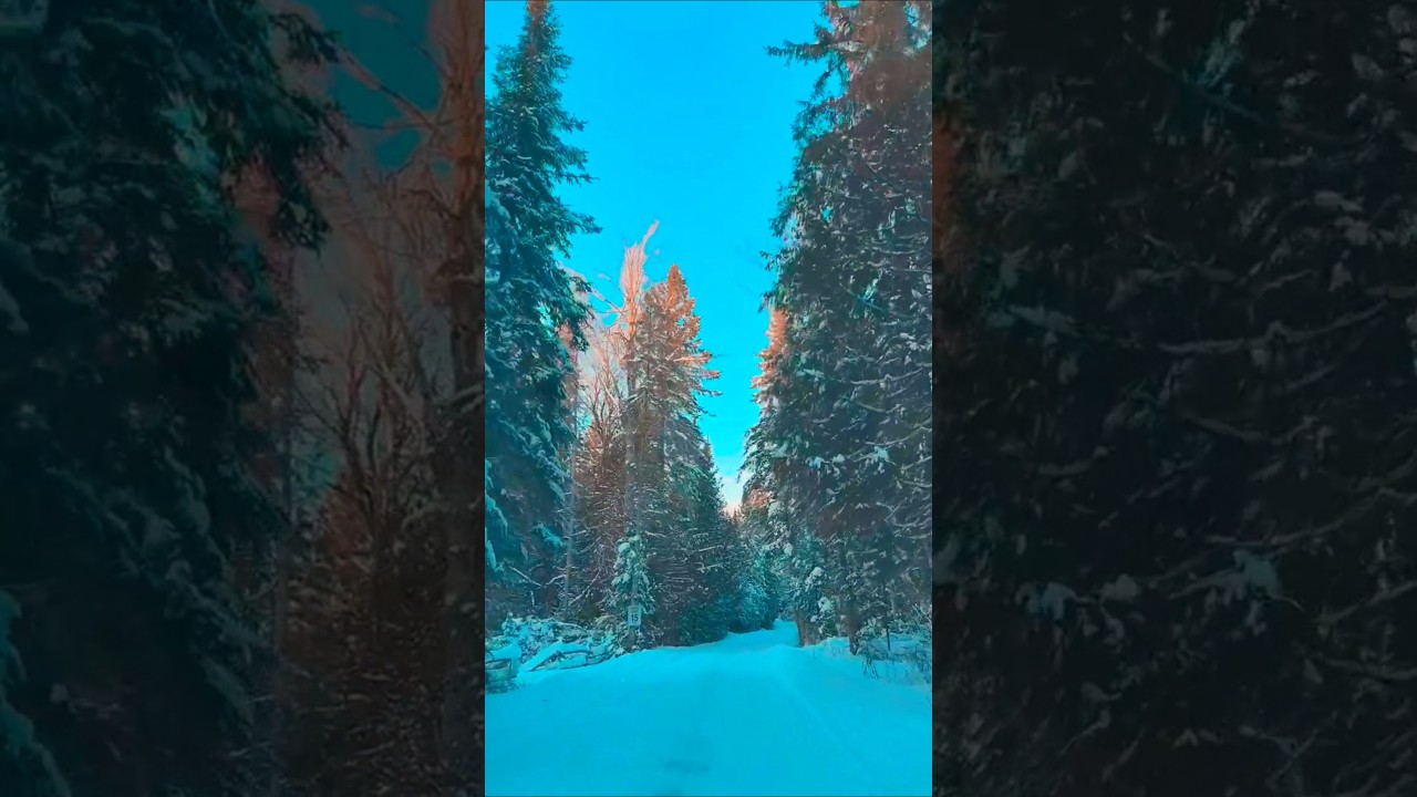 Beautiful cinematic view 