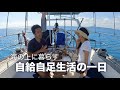 【ヨット生活】トローリング×素潜り×釣りで、食糧自給を目指します