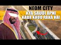 Is Saudi Arab making any mistake in NEOM Project ?