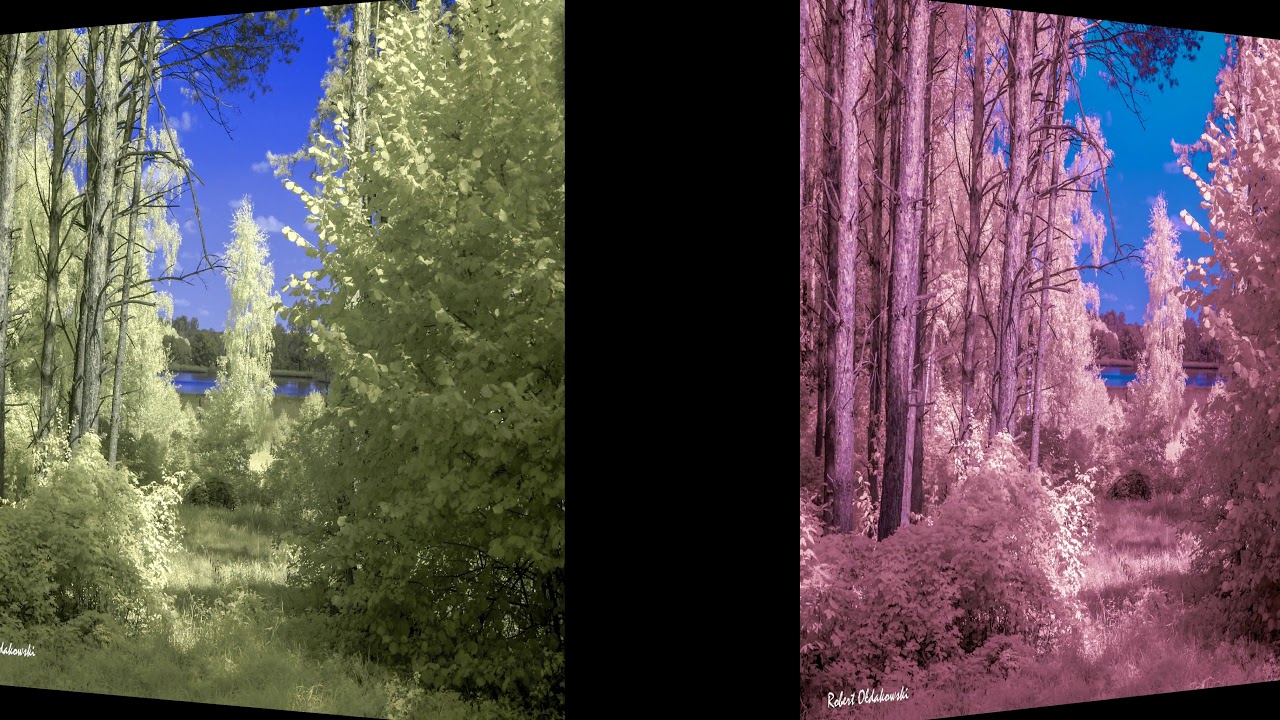 King Crimson - Book of Saturday (Fleesh Version) - IR photo by Robert Ołdakowski