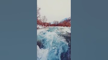 آيات منجيات من القرآن الكريم حالات واتس اب دينية قصيرة مؤثرة تلاوة خاشعة