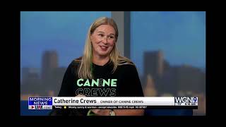 Canine Crews on WGN News for Wicker Park Pet Fest