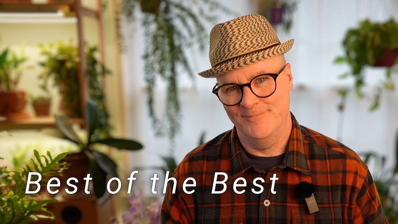 Над этими товарами для растений я работала несколько лет, и вот они, мои незаменимые помощники.