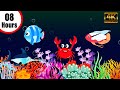 8 HOURS Baby Sleep and Unwind With a Enchanting Lullaby Beautiful Fish Animation Calming Music💤