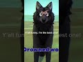Comment if you would like me to explain Wildcraftcreepypasta 