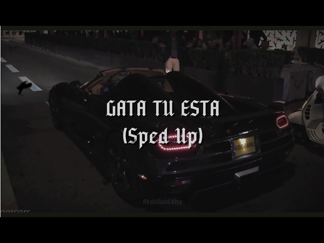 Gata Tu Esta Sped Up Version | #crismj #floyymenor