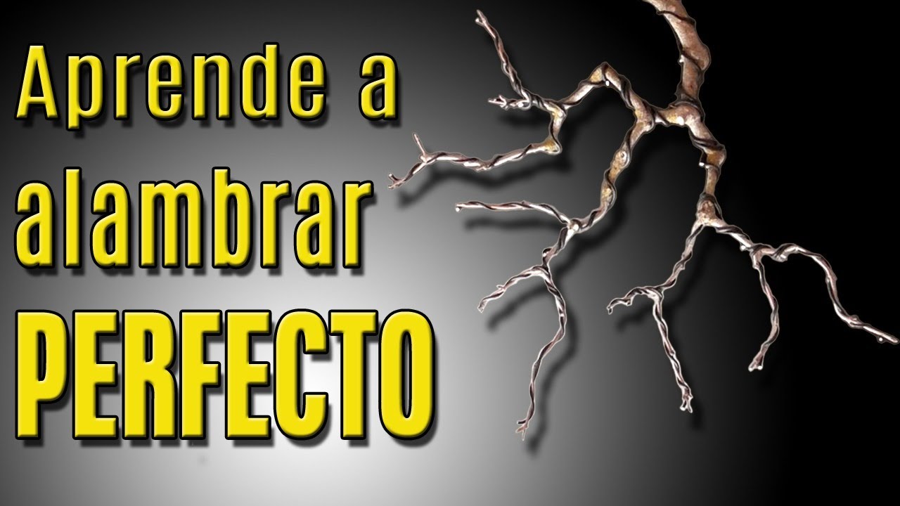 Bonsai - Cómo alambrar PERFECTO!