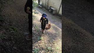 daily shenanigans #subscribe #puppy #outdoors #love #fyp