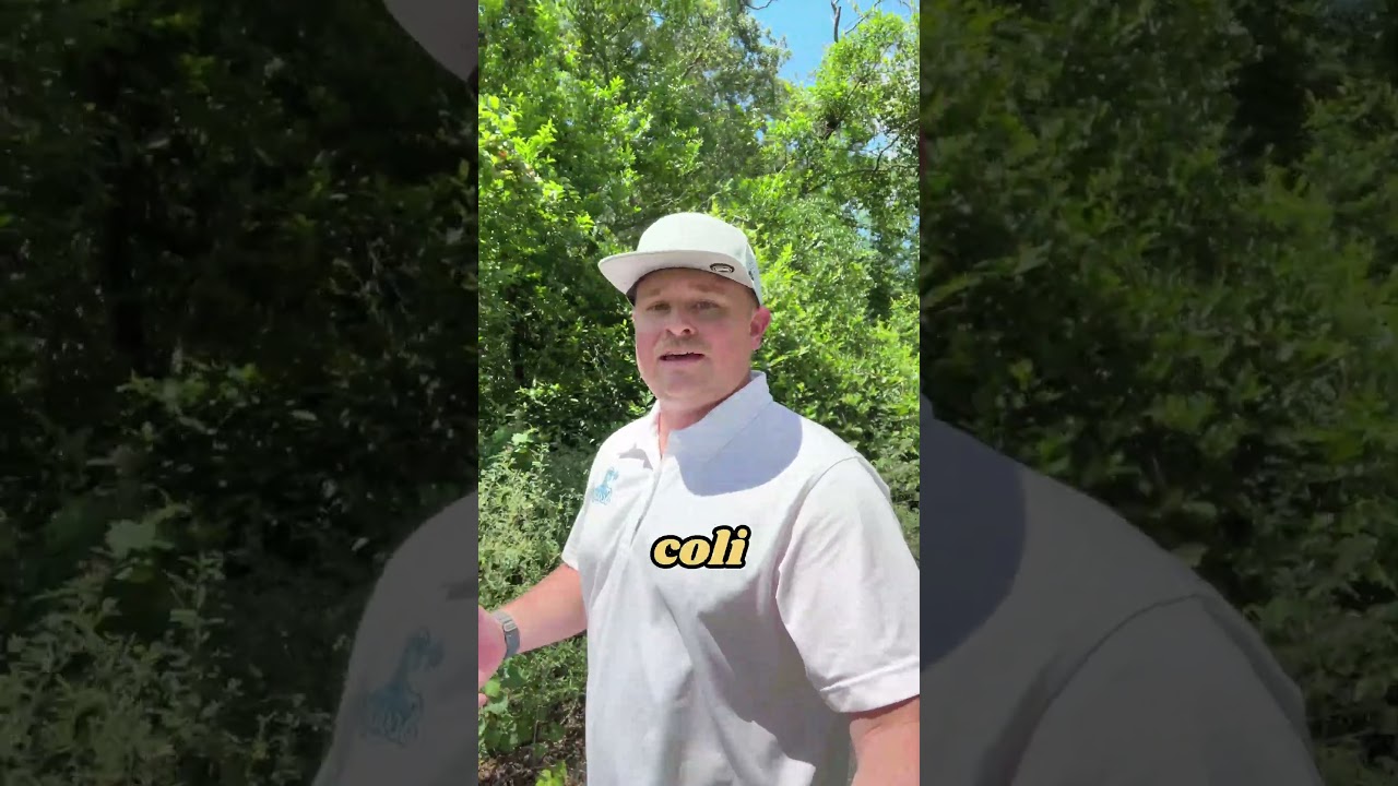 Scoopr | Full-Service Pet Waste Removal, Odor Control & Yard Sanitation