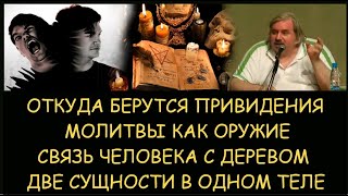 ✅ Н.Левашов: Откуда берутся привидения? Молитвы как оружие. Подселение второй сущности в тело