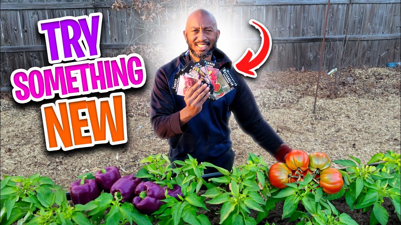 Rare Heirloom Seeds Baker Creek Seeds YouTube