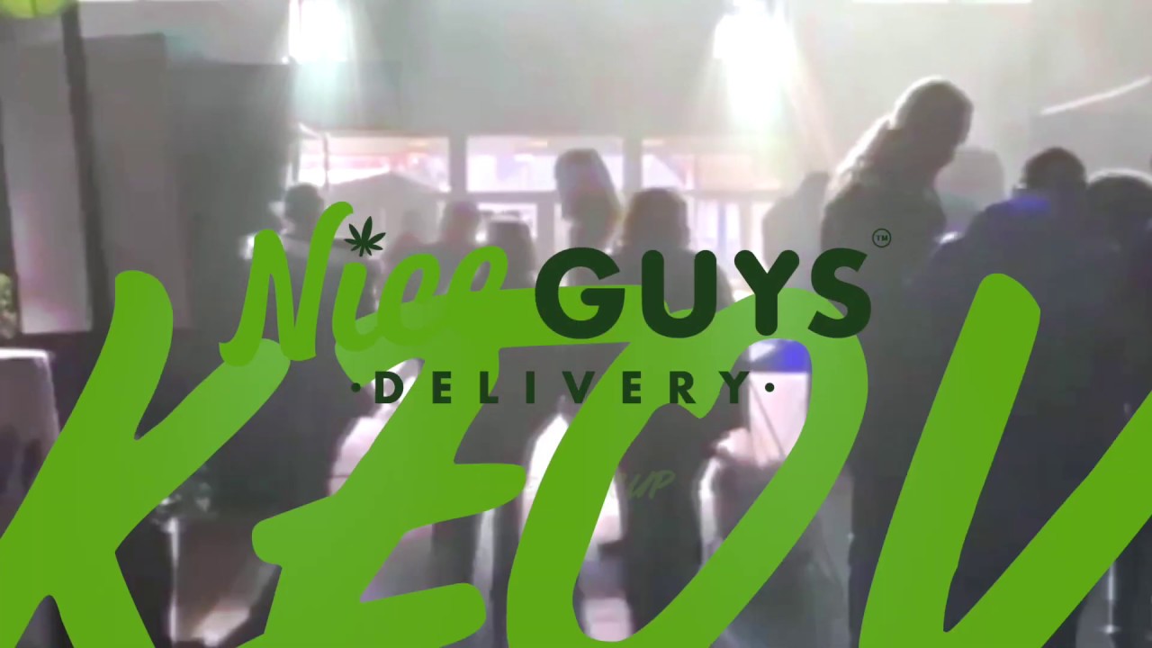 Nice Guys Recap of the 2019 Emerald Cup In Santa Rosa, California