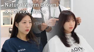 Soft Layered Cut Level 7 Warm Brown Natural Tone Correction Korean hair