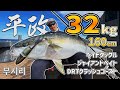 【32KGヒラマサ】ベイトキャスティングとジャイアントベイトでキャッチ【160cm】 / Yellowtail 32kg 160cm