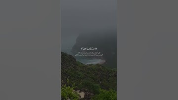 سورة الغاشية 🤍 #قرآن #اكسبلور #المصحف #اذكر_الله #راحة_نفسية #عبدالرحمن_مسعد