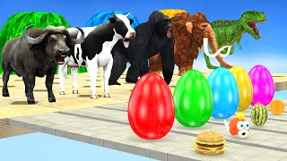 Don't Choose the Wrong Mystery Egg with Cow Elephant Buffalo Gorilla Crossing Fountain WIPEOUT CHALL