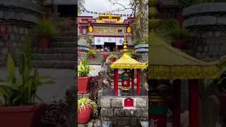 McLeod Ganj Adventure &amp; Peace in the Mountains #travel #trending #nature #mountains #love #shorts