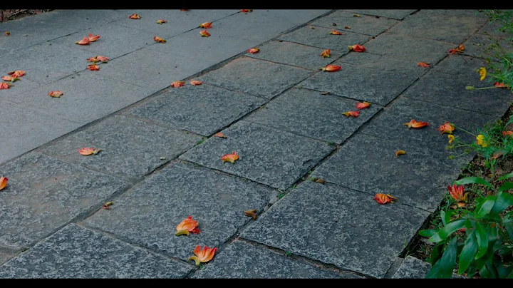 Doshi Teaser
