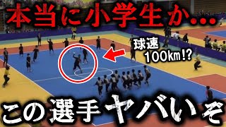 【ドッジボール】全国大会に規格外の小学生がいた…第32回春の全国大会 Red Victory【愛知県代表】 vs やんちゃDBC【沖縄県代表】