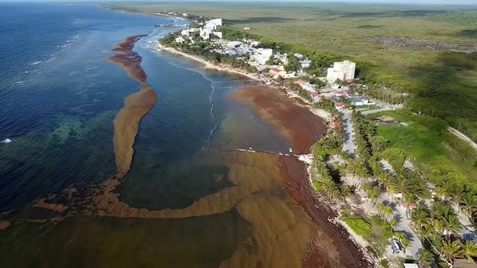 No municipal support for garbage collection in Mahahual - YouTube