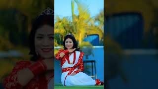 Raja Rani Shanti shree pariyar Babu Krishna pariyar   Tiktok videos    New lok dohori song shorts