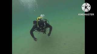 Териберка. Подводный мир, Камчатский краб.