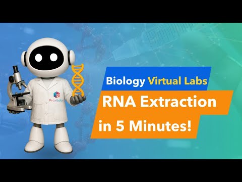 Extraction Of RNA Biology Virtual Lab L PraxiLabs