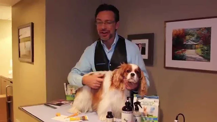 Jorge Bendersky's Grooming Tips! - Web Extra | The Meredith Vieira Show