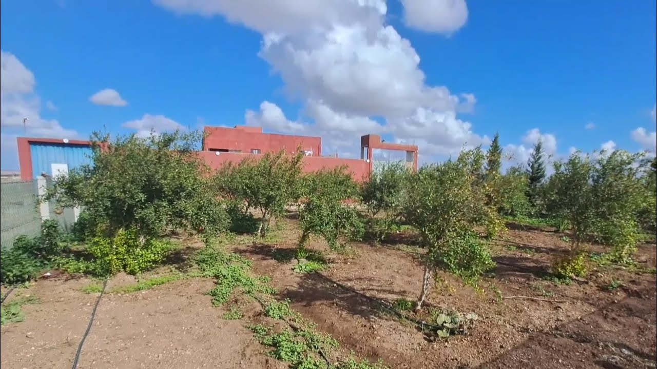 🏡 4 هكتارات ملكية 8كلم من ازمور و16 كلم من  الجديدة ب3 منازل؛المسبح ؛ البئر والاسطبل تطل على البحر