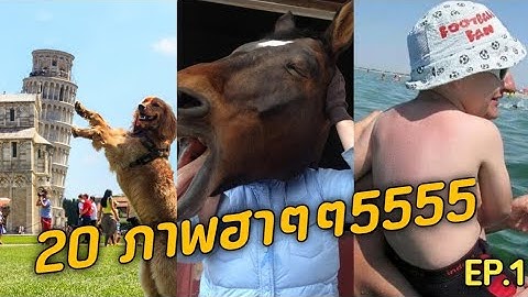 20 ภาพถ่ายฮาๆ ขำๆ ที่จะทำให้คุณอึ้ง Ep.1