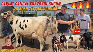 :  Narx Aytish Mana Bunaqa Boladi Bozordanxam Arzon Davlat Dangal
