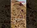 Kunturinakampi ukatsa pata pata taypinakana: ukhamawa Ayacucho tuqina Chipao markaxa uñtasiraki