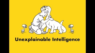 Mushrooms: Unexplainable Intelligence?