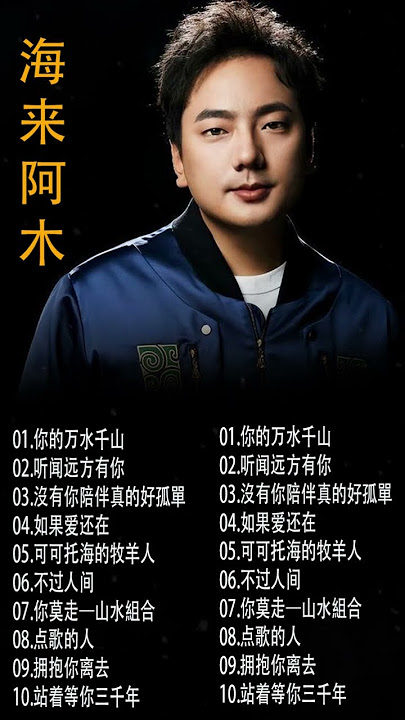 海来阿木 - 你的万水千山 #2024中国大陸流行歌曲 不能不听的50首精选歌 【動態歌詞Lyrics】#2024好听的流行歌曲 #shorts